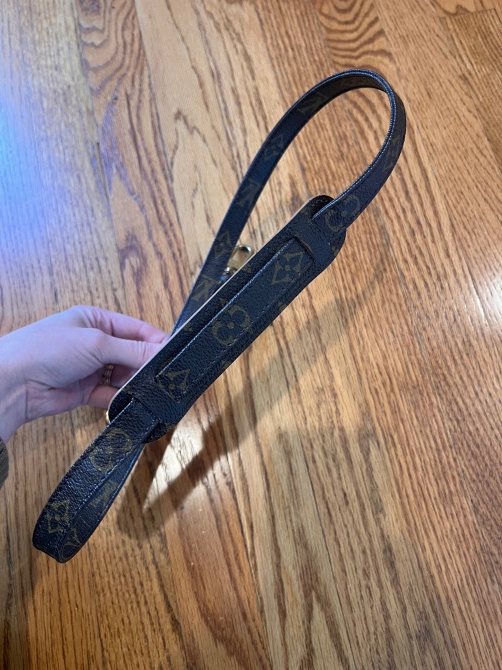 Louis Vuitton Bag Strap